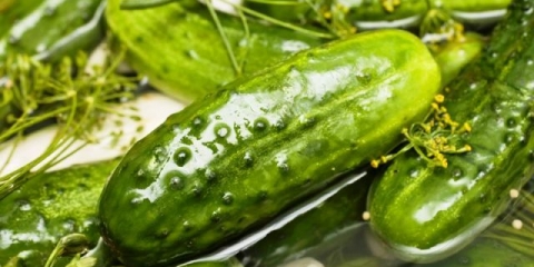 Slabo slani krastavci: recept za kuvanje u hladnoj vodi